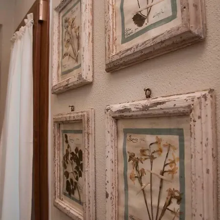 Le Camere Del Borgo Montescudaio Buitenkant foto