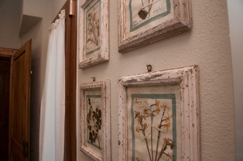 Le Del Borgo * Montescudaio