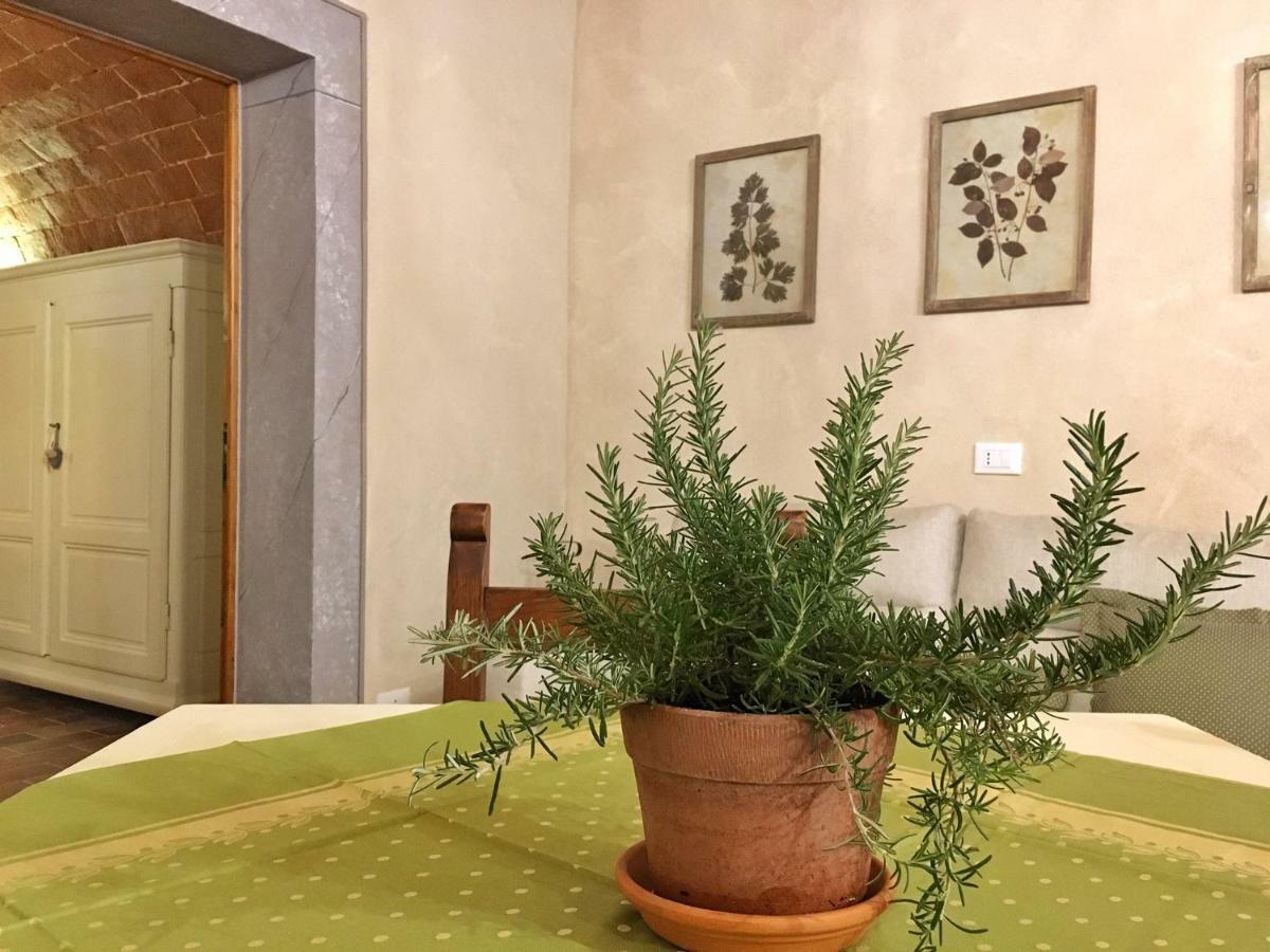 Le Del Borgo Casa de hóspedes Montescudaio